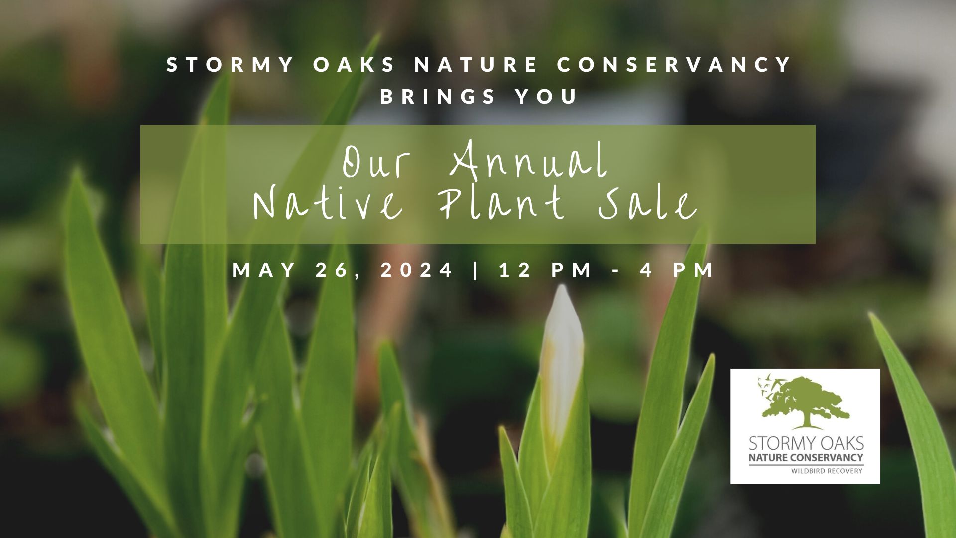 Native Plant Sale benefits Wildbird Recovery