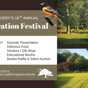 WBR - 2027 Fall Migration Festival