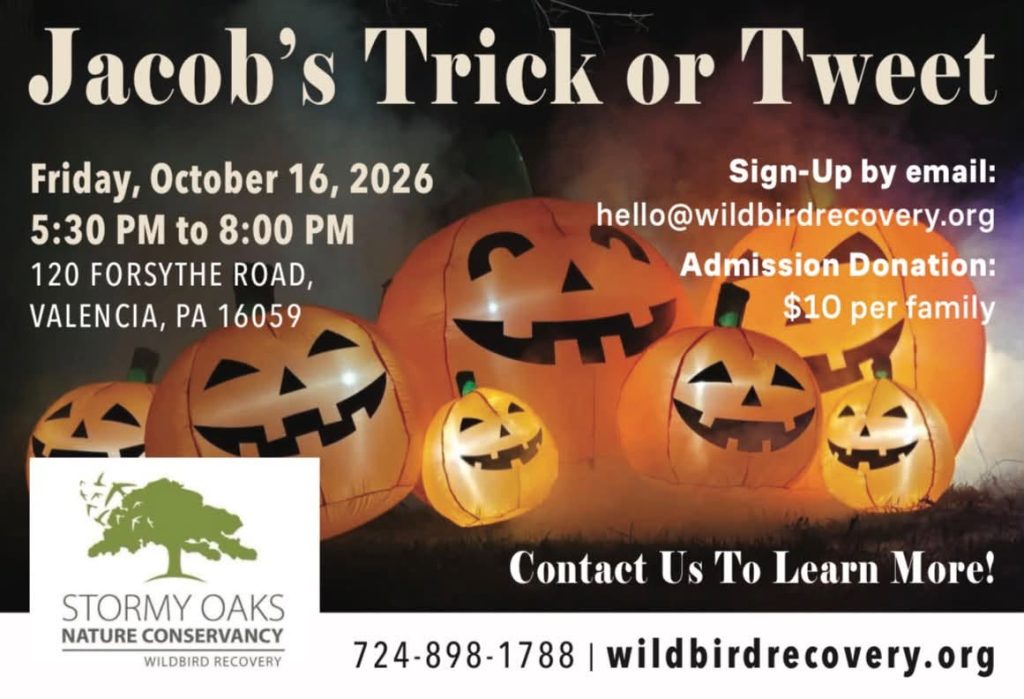 Jacob's Halloween Event