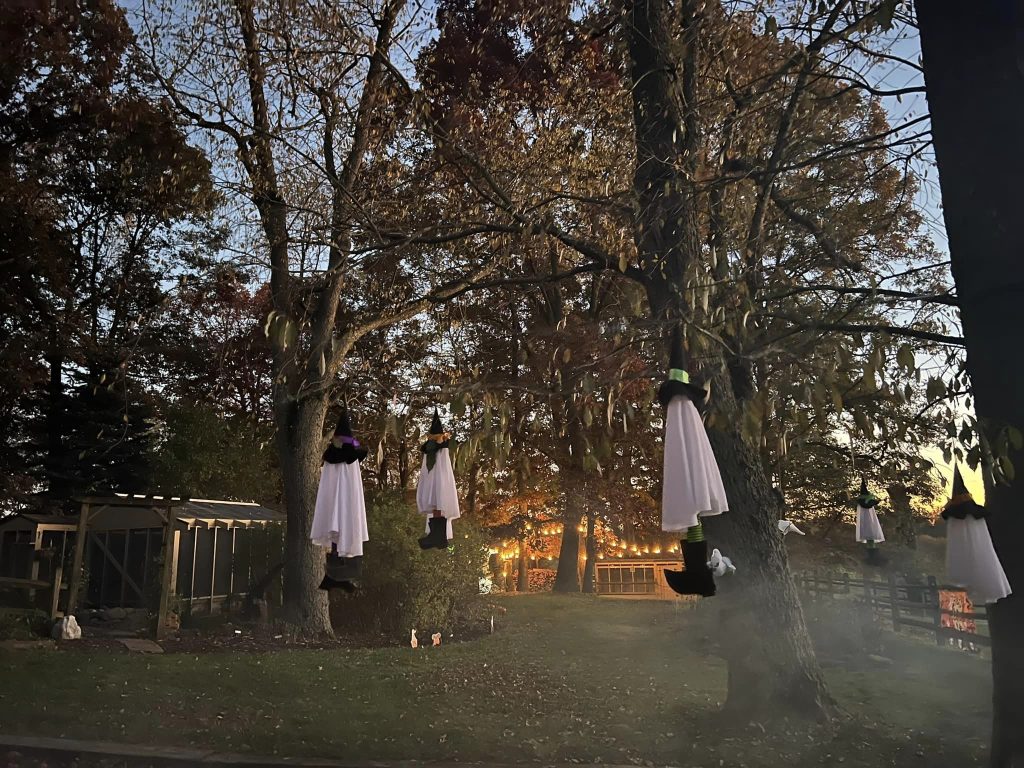 WBR - 2024 Trick or Tweet_3
