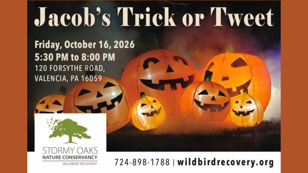 Jacob's Trick or Tweet Event